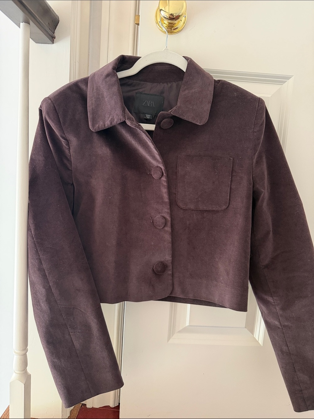 Zara Cropped Suede Jacket (M)